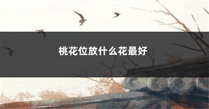 桃花位放什么花最好
