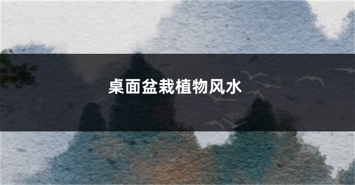 桌面盆栽植物风水