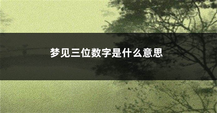 梦见三位数字是什么意思