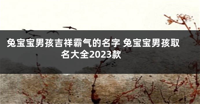 兔宝宝男孩吉祥霸气的名字 兔宝宝男孩取名大全2023款