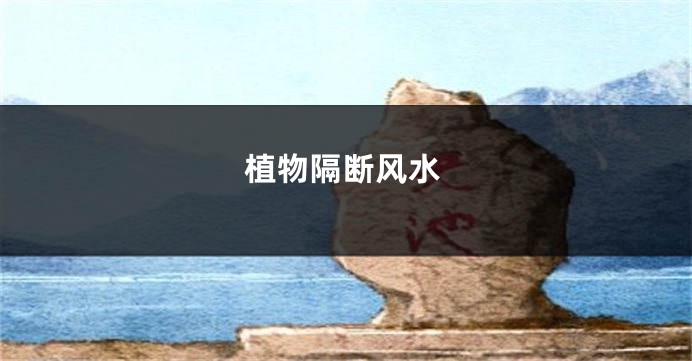植物隔断风水