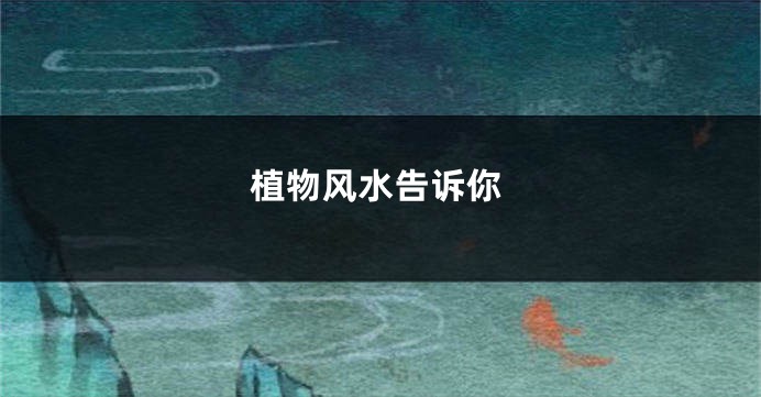 植物风水告诉你