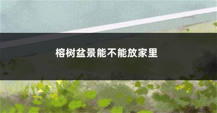 榕树盆景能不能放家里