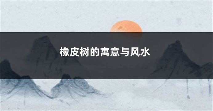 橡皮树的寓意与风水