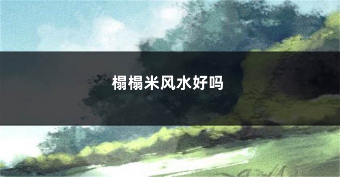 榻榻米风水好吗