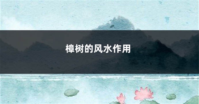 樟树的风水作用