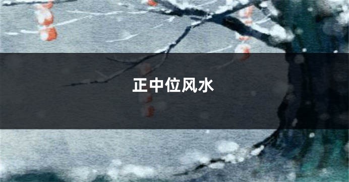 正中位风水