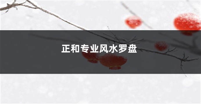正和专业风水罗盘
