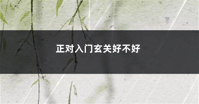 正对入门玄关好不好