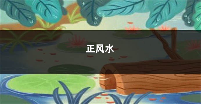 正风水