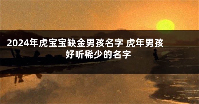 2024年虎宝宝缺金男孩名字 虎年男孩好听稀少的名字