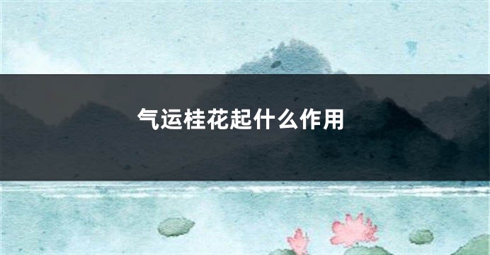 气运桂花起什么作用