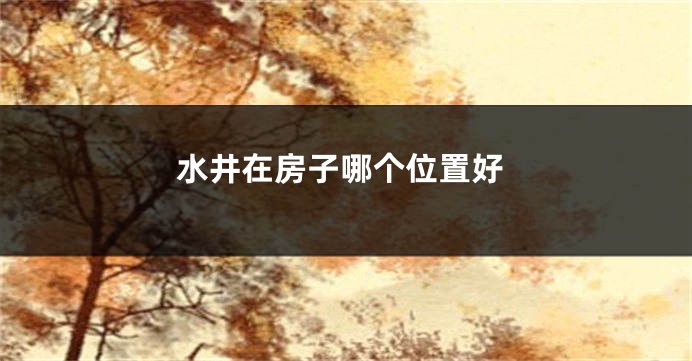 水井在房子哪个位置好
