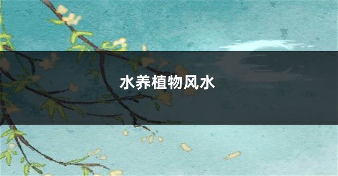 水养植物风水