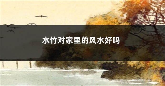 水竹对家里的风水好吗