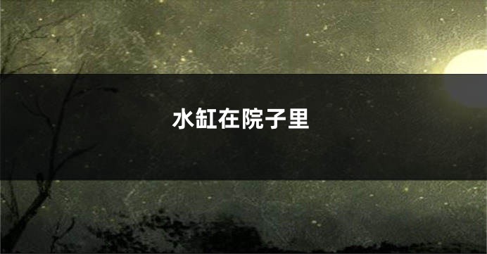 水缸在院子里