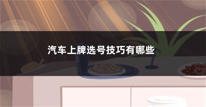 汽车上牌选号技巧有哪些