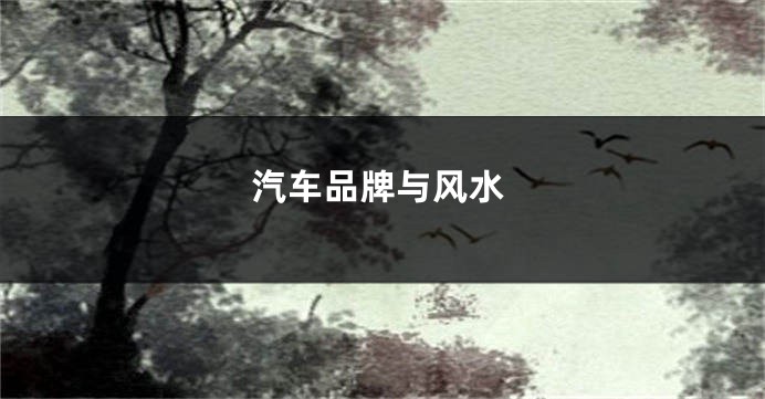 汽车品牌与风水