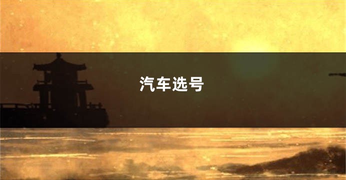 汽车选号