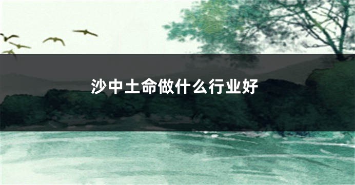沙中土命做什么行业好