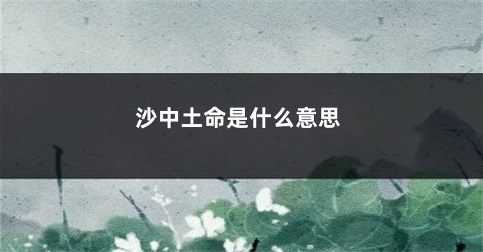 沙中土命是什么意思