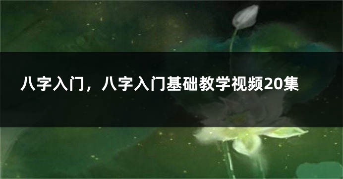 八字入门，八字入门基础教学视频20集