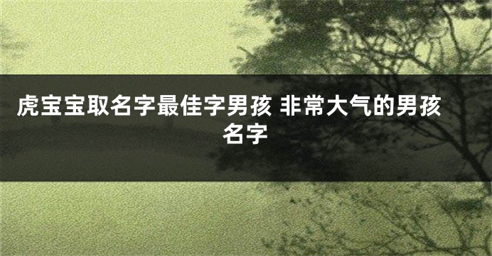 虎宝宝取名字最佳字男孩 非常大气的男孩名字