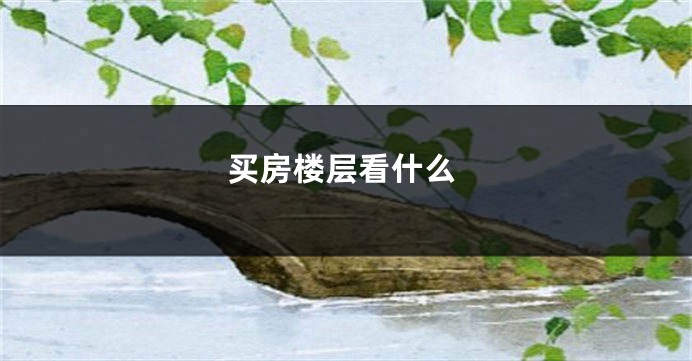 买房楼层看什么