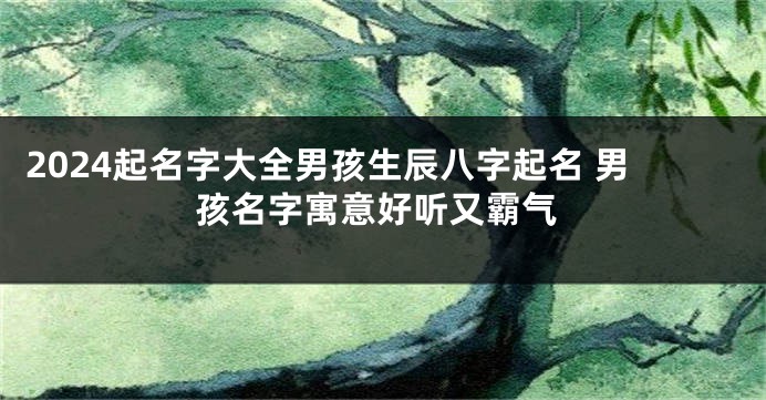 2024起名字大全男孩生辰八字起名 男孩名字寓意好听又霸气