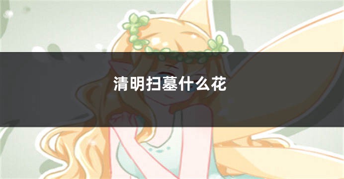 清明扫墓什么花