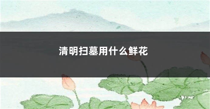 清明扫墓用什么鲜花
