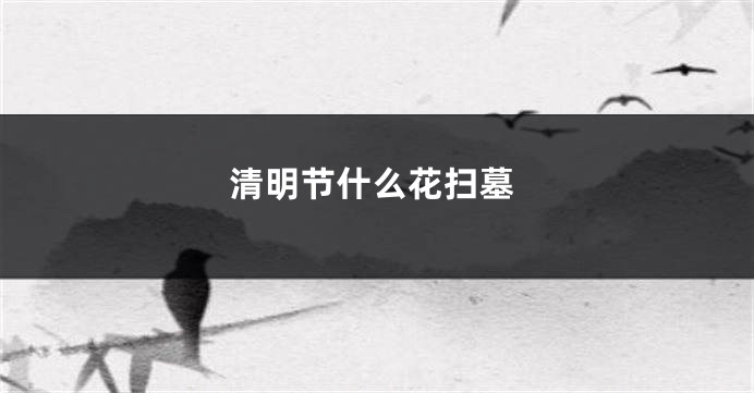 清明节什么花扫墓