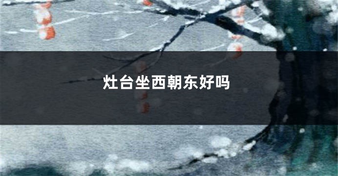 灶台坐西朝东好吗