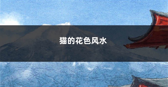 猫的花色风水