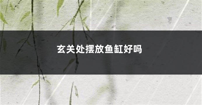 玄关处摆放鱼缸好吗