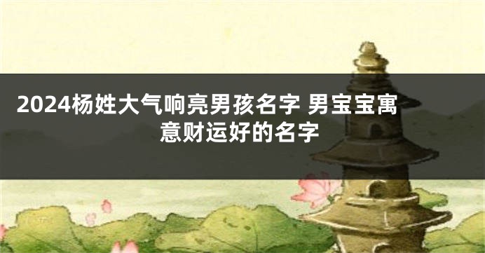 2024杨姓大气响亮男孩名字 男宝宝寓意财运好的名字