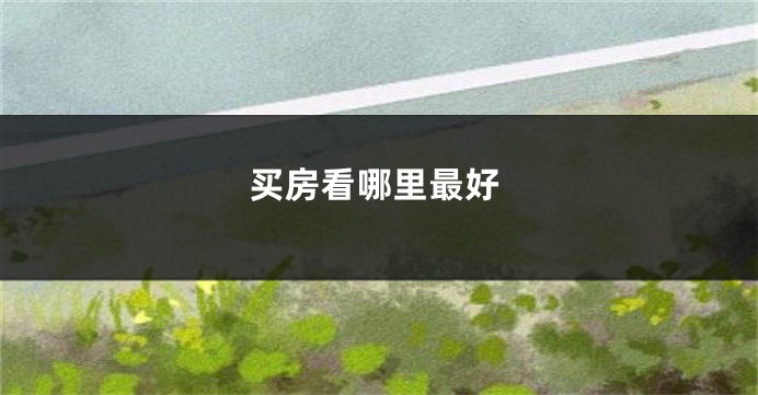 买房看哪里最好