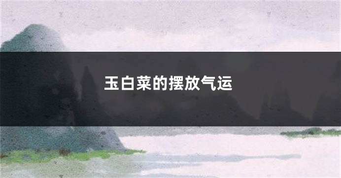 玉白菜的摆放气运