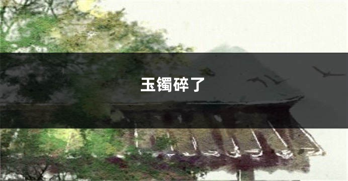 玉镯碎了