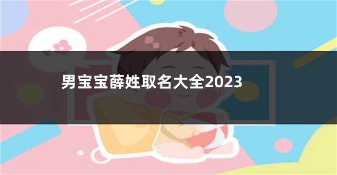 男宝宝薛姓取名大全2023
