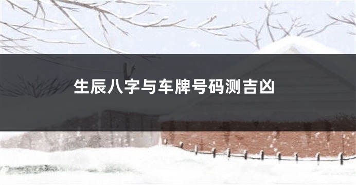 生辰八字与车牌号码测吉凶