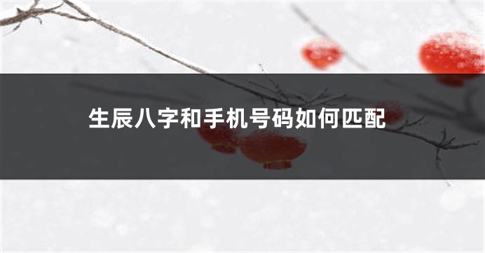 生辰八字和手机号码如何匹配