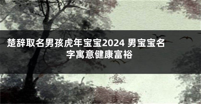 楚辞取名男孩虎年宝宝2024 男宝宝名字寓意健康富裕