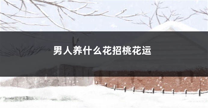 男人养什么花招桃花运