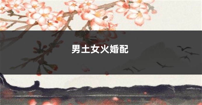 男土女火婚配