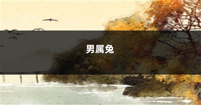 男属兔