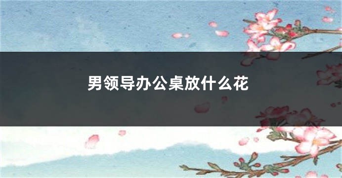 男领导办公桌放什么花