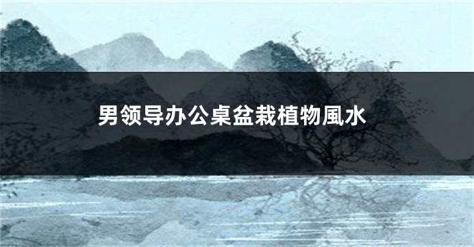 男领导办公桌盆栽植物風水