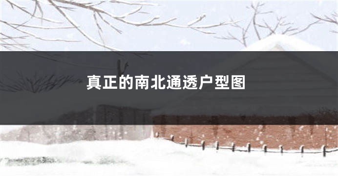 真正的南北通透户型图