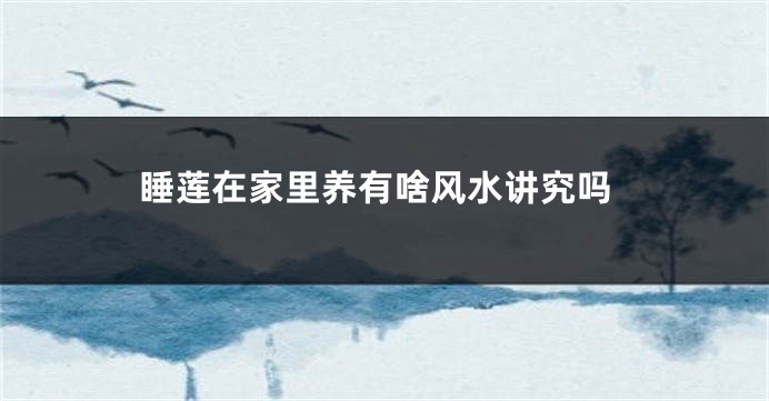 睡莲在家里养有啥风水讲究吗